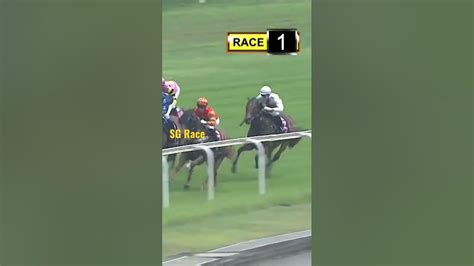 singapore horse racing live today|watch hong kong racing live.